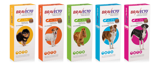 Desparasitante Bravecto