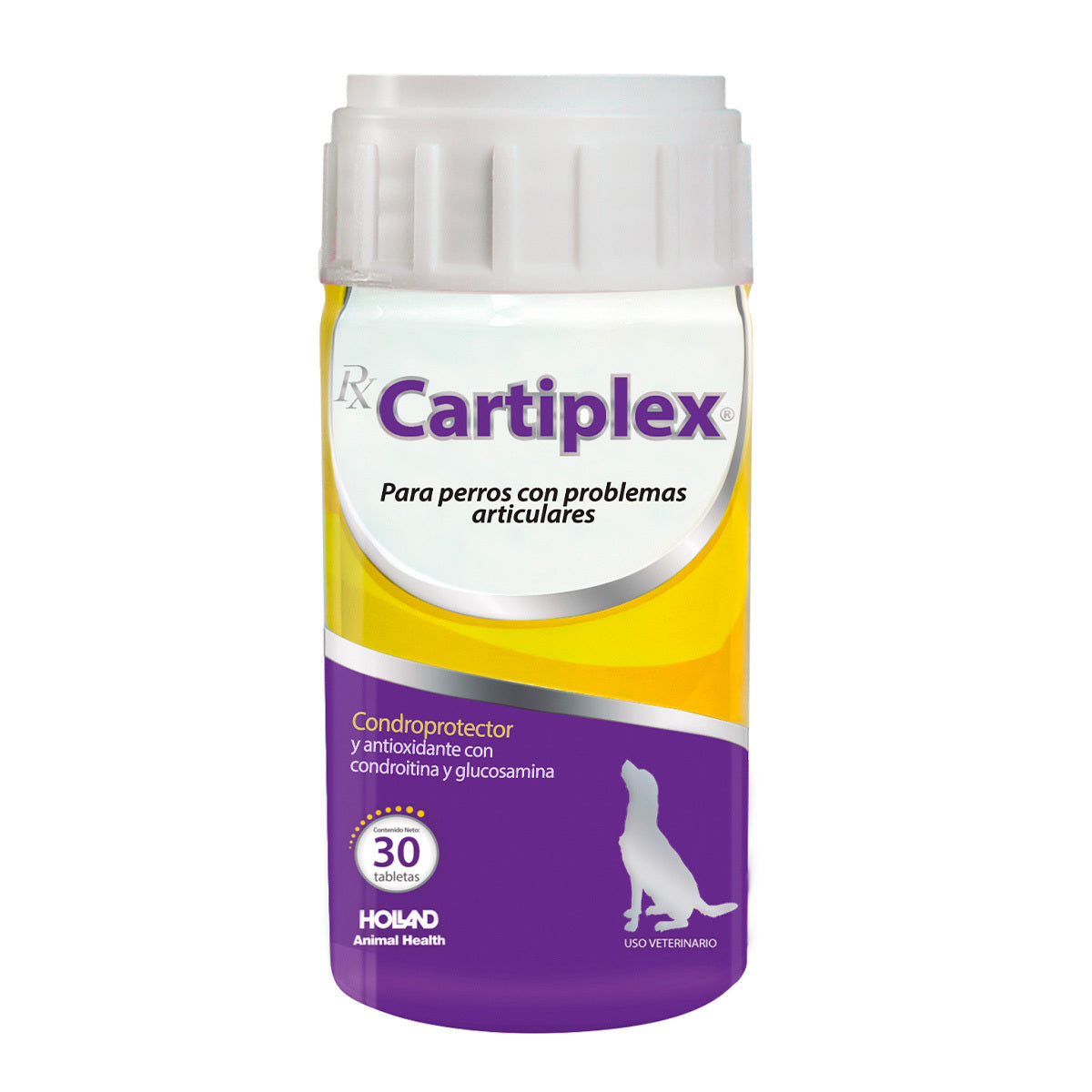 Multivitamínico Rx Cartiplex