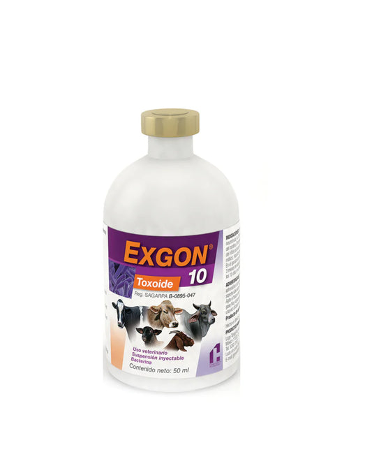 Exgon 10