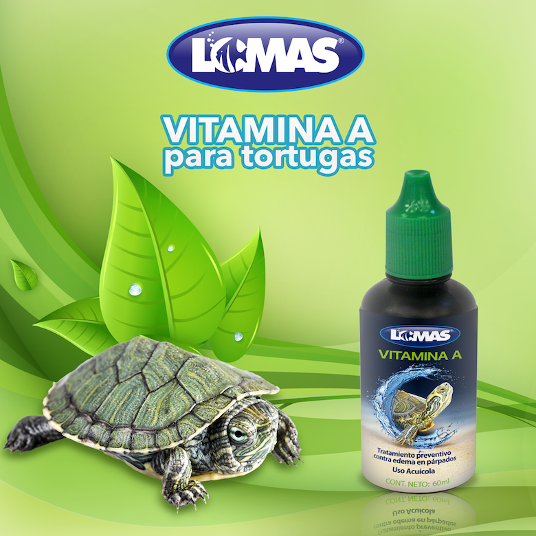 Vitamina A para tortugas