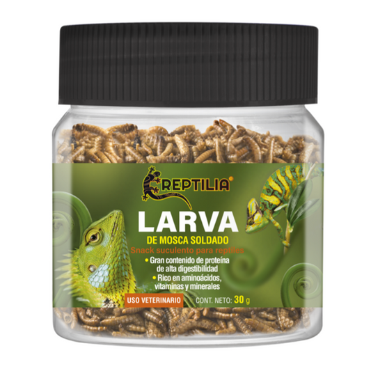 Larva de mosca soldado 30g