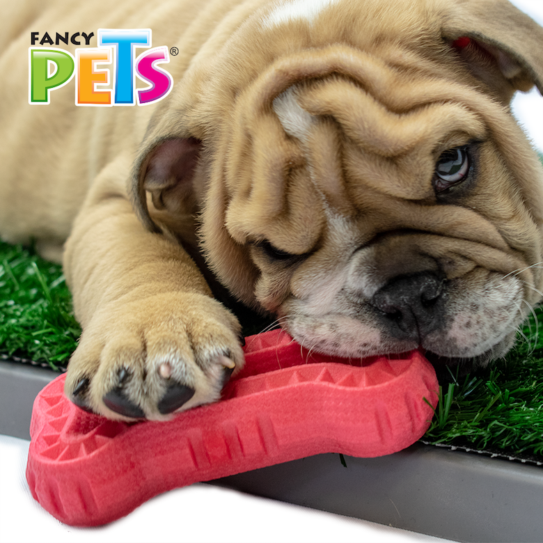 Juguete Masticable para Perro Chico FancyPets