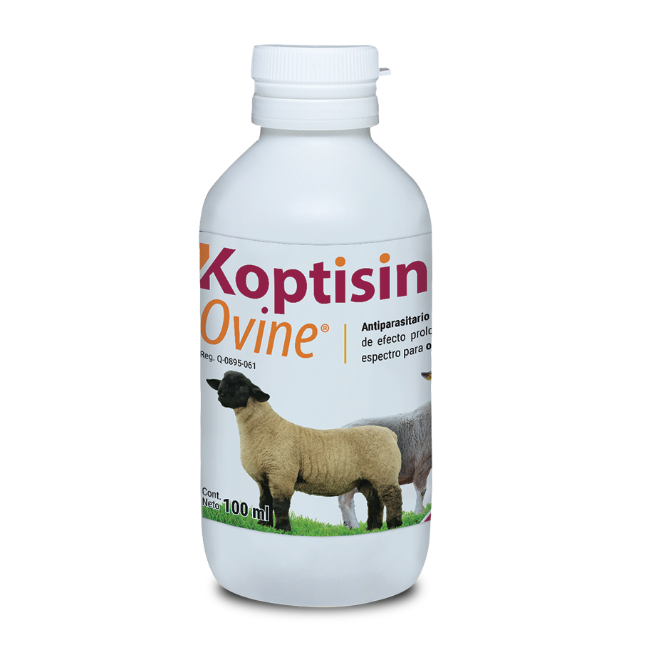 Koptisin Ovine Oral