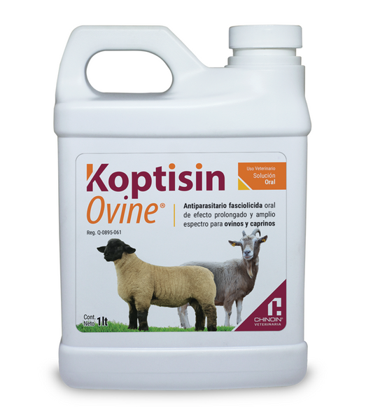 Koptisin Ovine Oral