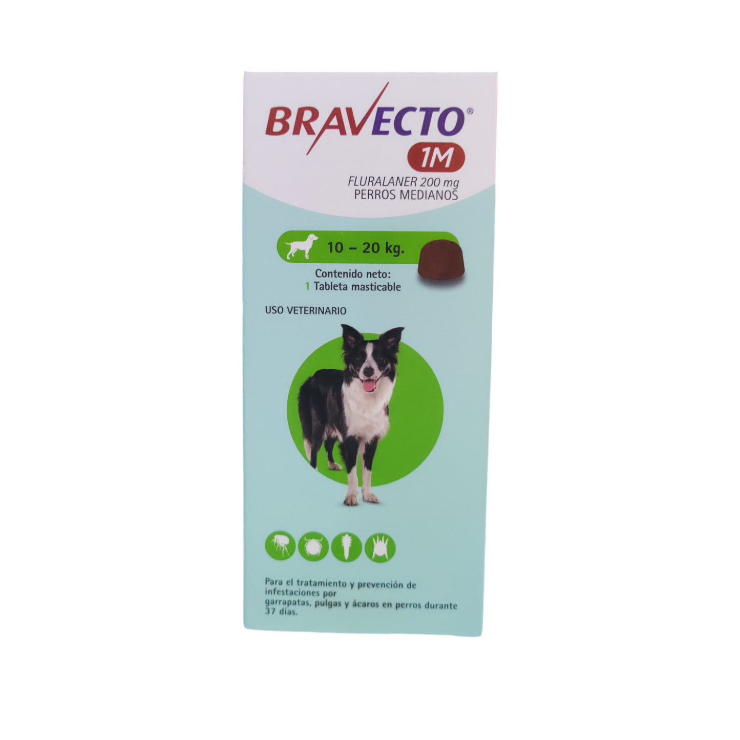 Bravecto 1M  10-20kg antipulgas y garrapatas