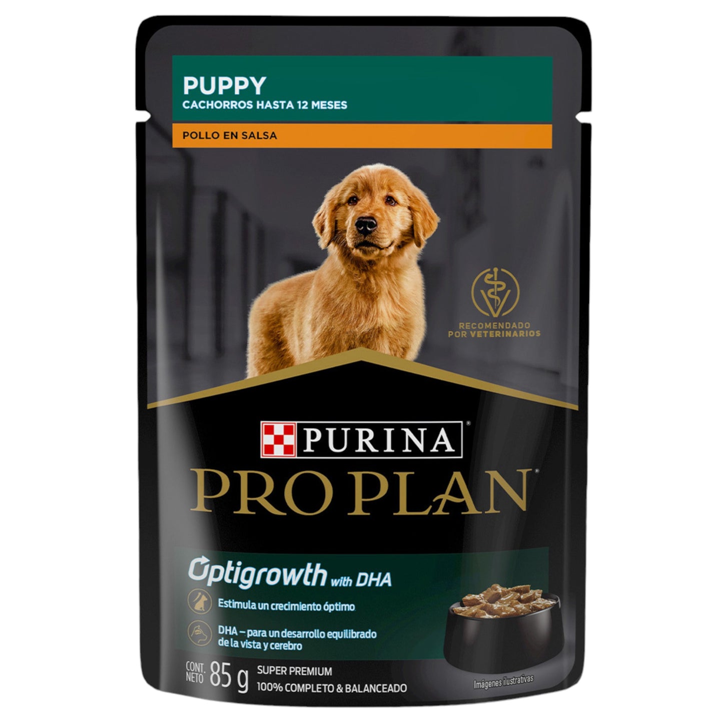 Alimento húmedo para cachorros proplan