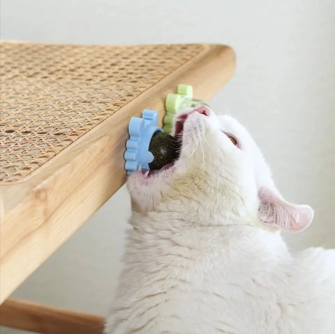 Juguete con catnip para gato