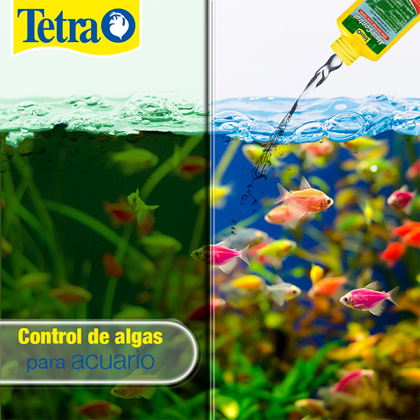 AlgaeControl 100ml