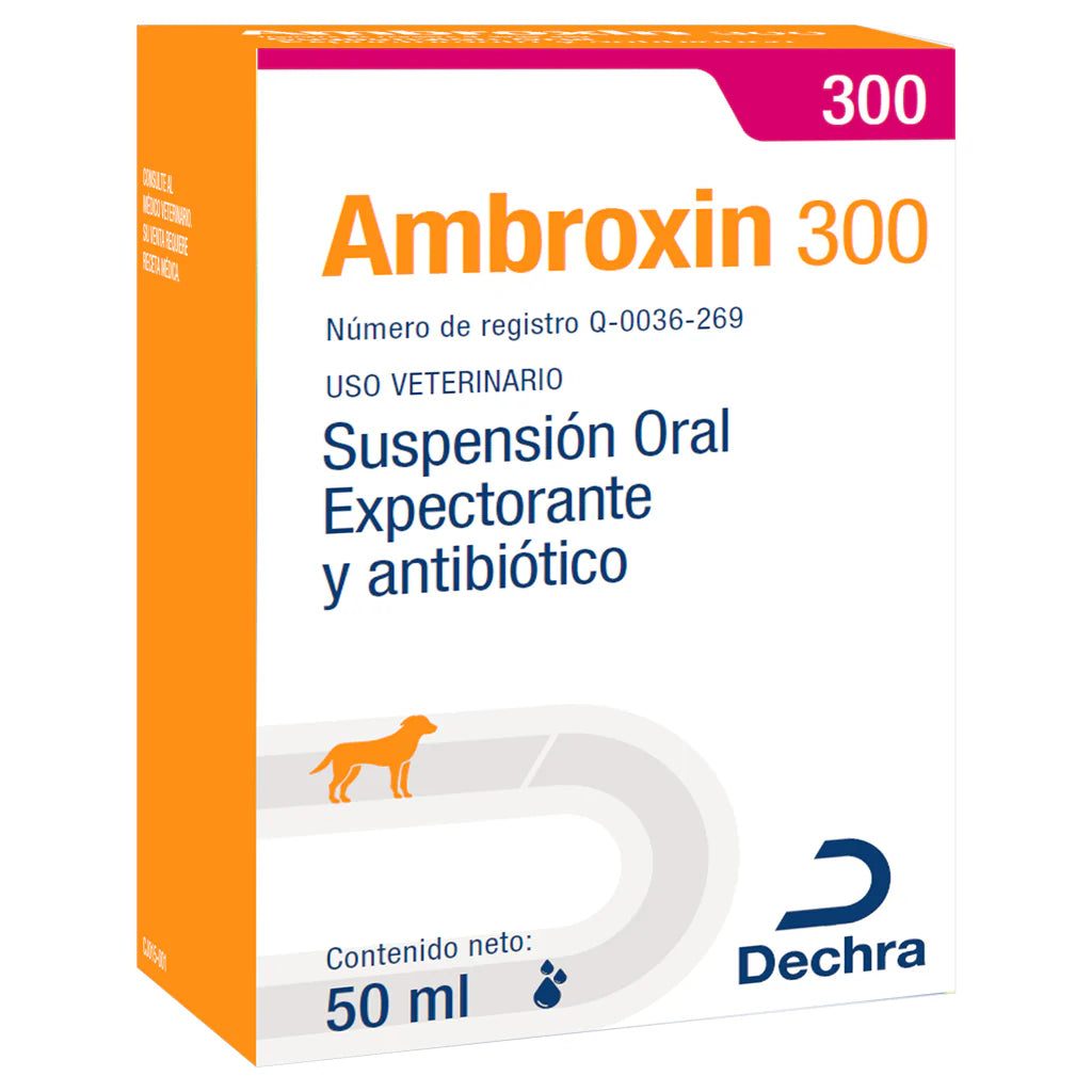 Ambroxin 300