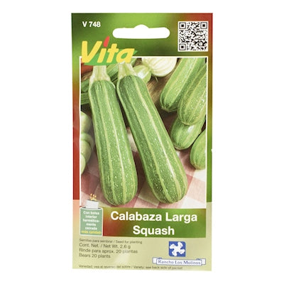 Semillas de Calabaza Larga squash