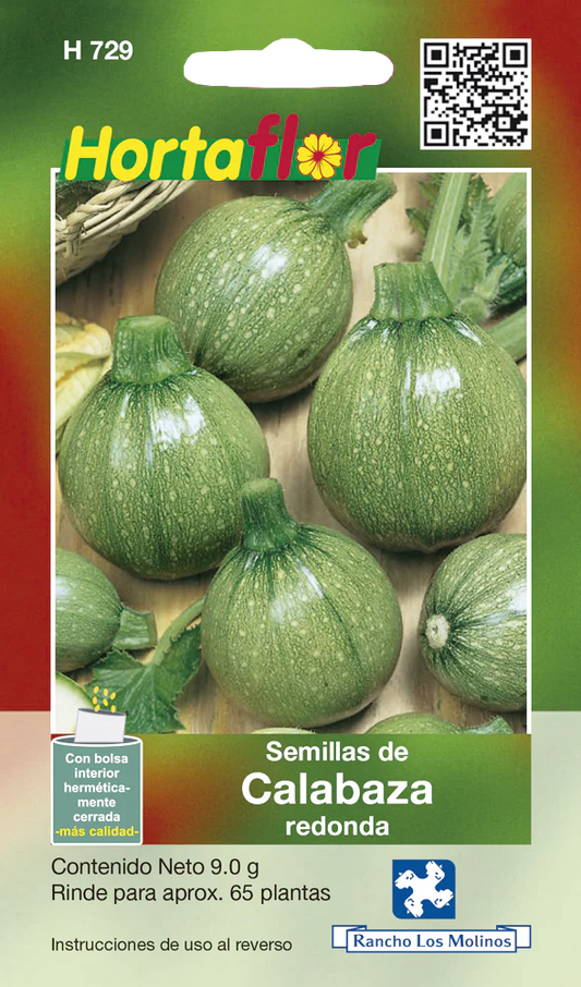 Semillas de Calabaza redonda