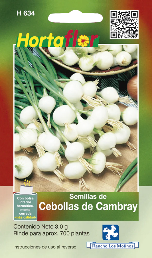 Semillas de Cebollas de Cambray