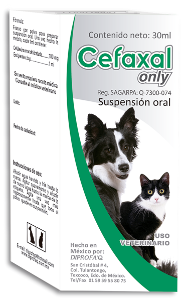 Cefaxal only suspensión