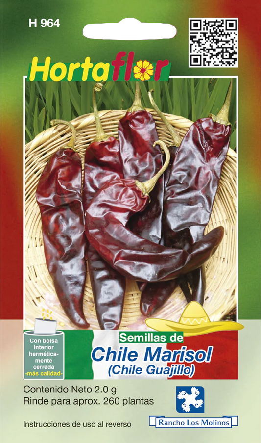 Semillas de Chile Marisol (Chile Guajillo)