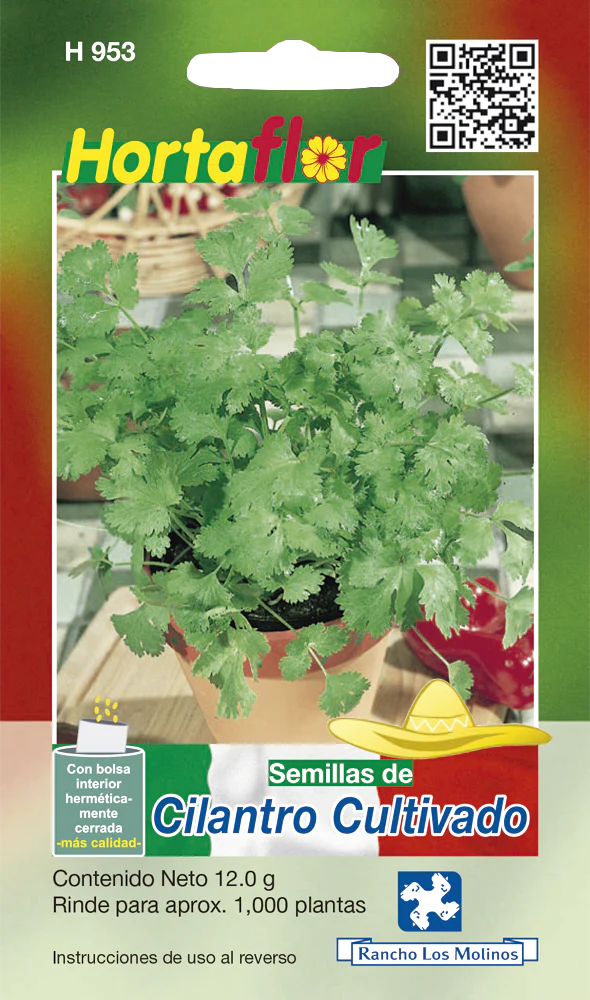 Semillas de Cilantro Cultivado