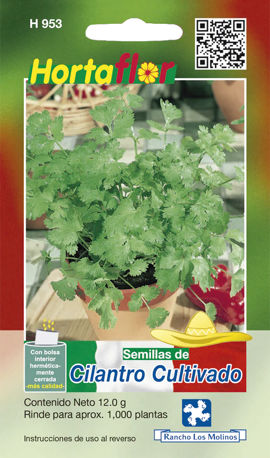 Semillas de Cilantro Cultivado