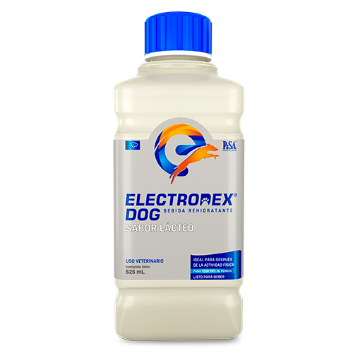 Electrodex Dog