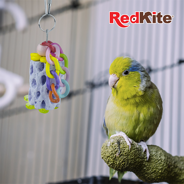 Juguete colgante con calcio para aves