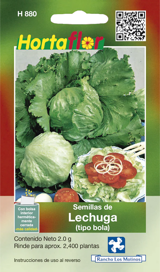 Semillas de Lechuga (tipo bola)