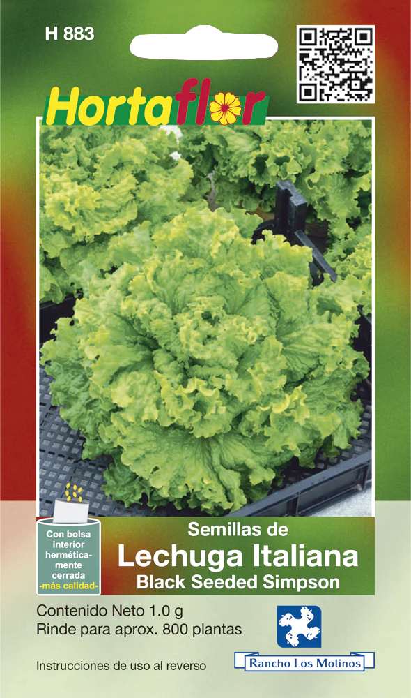 Semillas de Lechuga Italiana Black Seeded Simpson