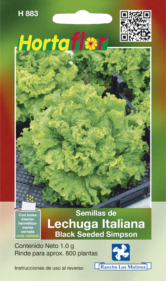 Semillas de Lechuga Italiana Black Seeded Simpson