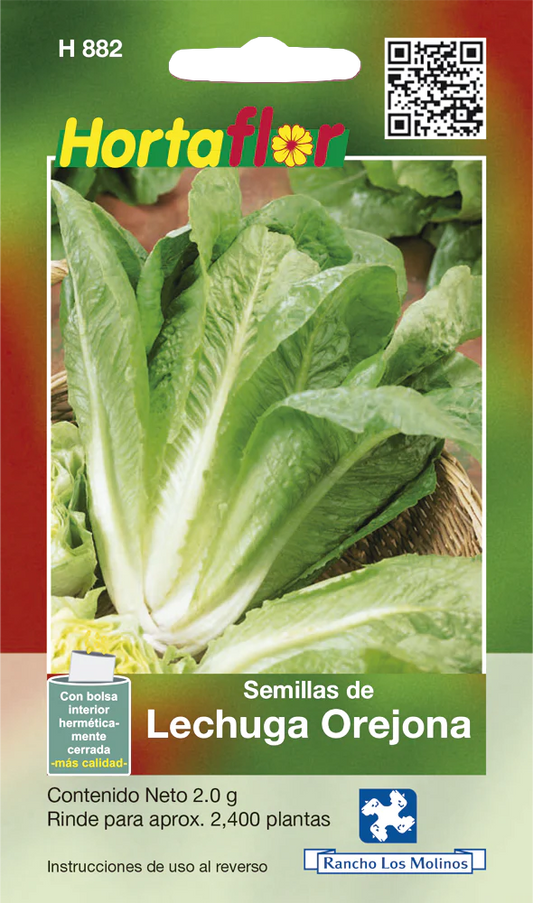 Semillas de Lechuga Orejona