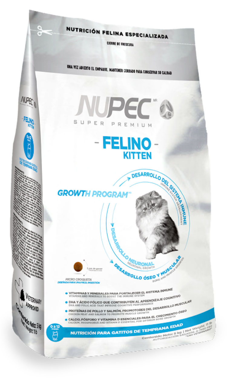 Nupec Felino Kitten