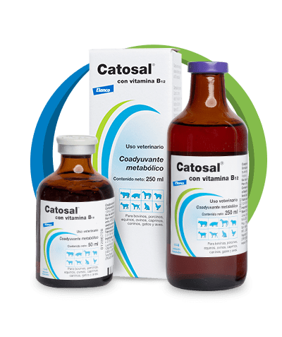 Catosal con vitamina B-12